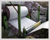 paper mill